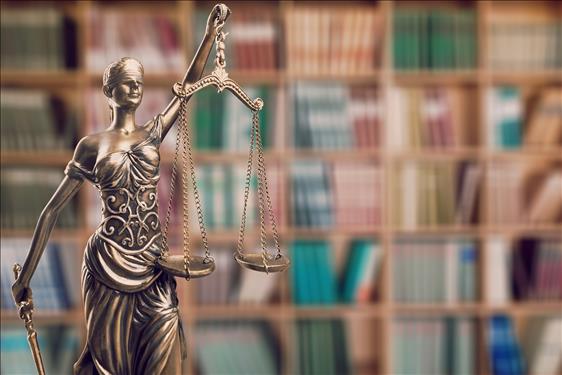 TJ-SP autoriza repasse de desconto em mensalidade escolar para pensão alimentícia