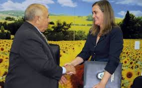 Juiz de Tocantins entende que licitação teve falhas, mas absolve ex-secretários por falta de dolo