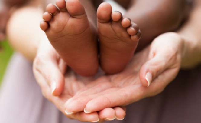 TJ-TO lança “Websérie Justiça Seja Feita” com histórias sobre adoção