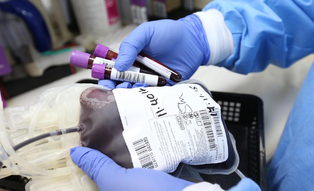 ACIMA DA RELIGIÃO: Juíza   determina que bebês de Testemunhas de Jeová recebam sangue