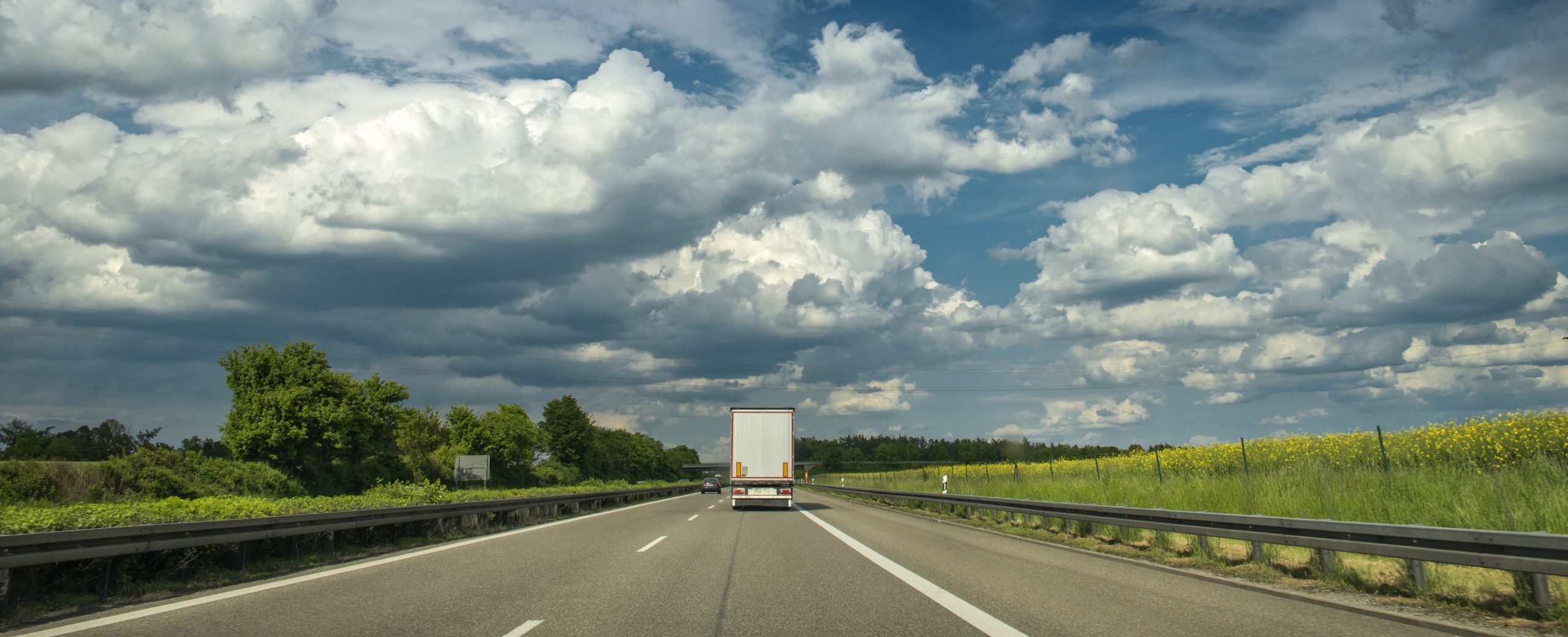 TJ-PB condena mulher por deixar cabras soltas em via pública