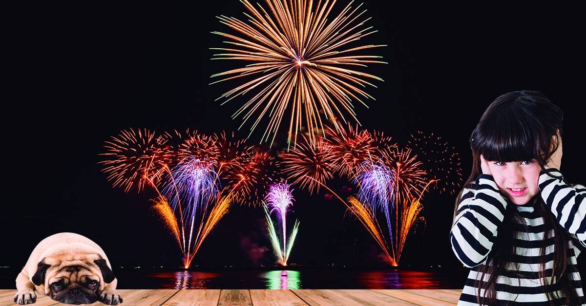 "FOGOS SIM, BARULHO NÃO!" Campanha da OAB-DF faz alerta contra fogos barulhentos na virada