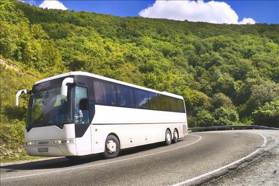 Gratuidade de passagem interestadual a idosos não inclui ônibus executivo