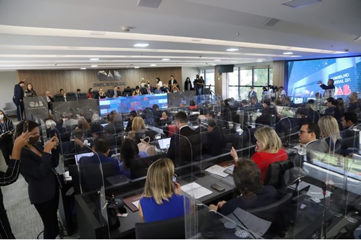 INFRAÇÃO DISCIPLINAR: Pleno da OAB aprova proposta de PL que pune servidor federal por violação de prerrogativas