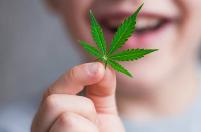 Juiz de Goiás autoriza pais de menino autista a plantar e produzir Cannabis medicinal