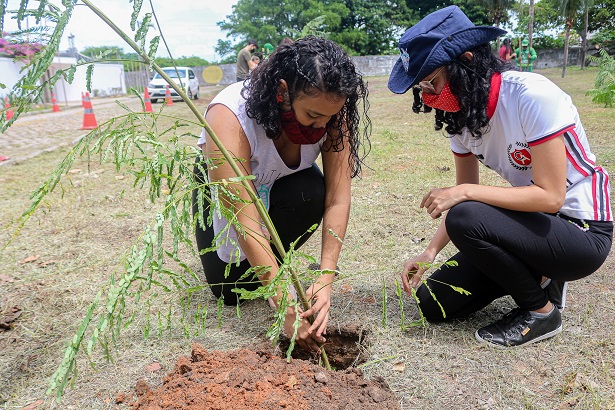 Agricultor é condenado por aplicar agrotóxico sem receituário agronômico