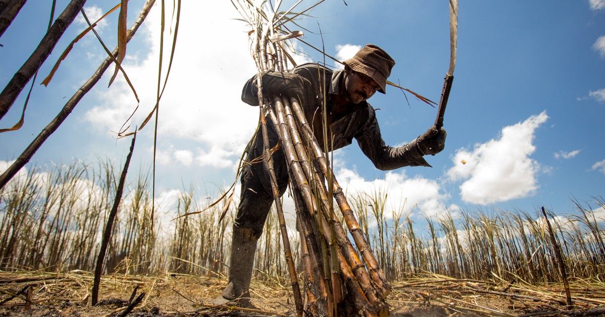 Vício de iniciativa torna lei sobre proteção à exposição solar no trabalho inconstitucional