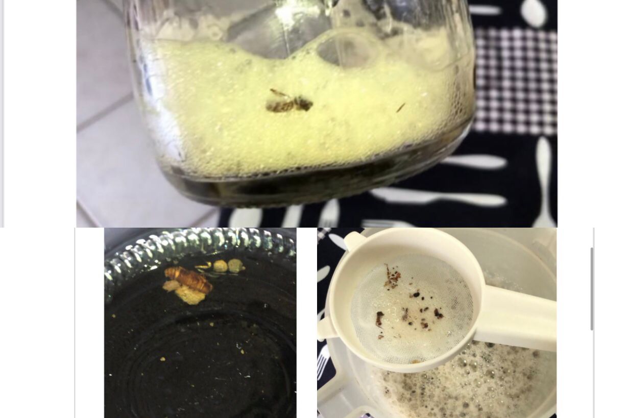 Advogada encontra restos de barata em Coca-Cola e será indenizada em R$ 5 mil