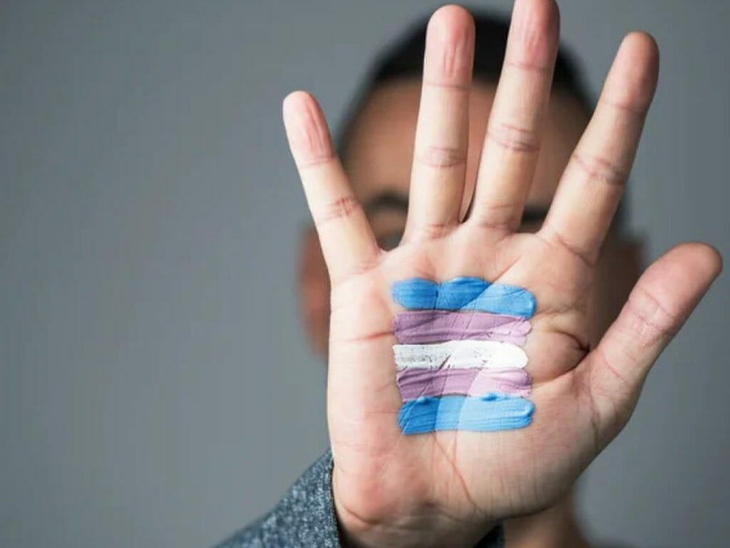 TJ/SP mantém condenação de universidade por não atualizar dados de aluno trans