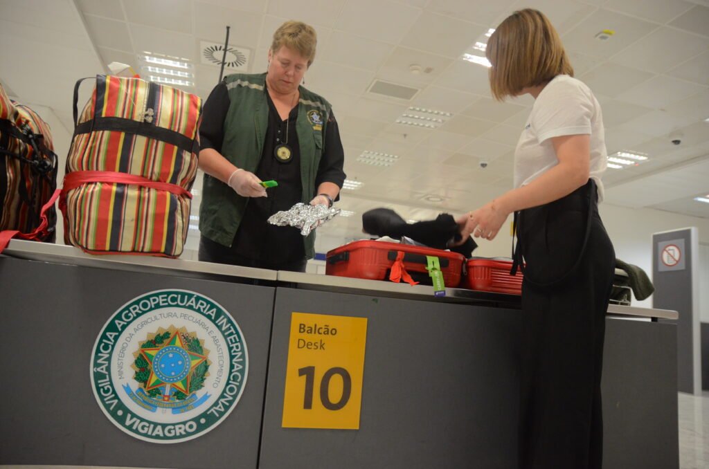 Vigiagro deverá realizar inspeção veterinária para transporte de dois gatos à Suécia, determina TRF-4