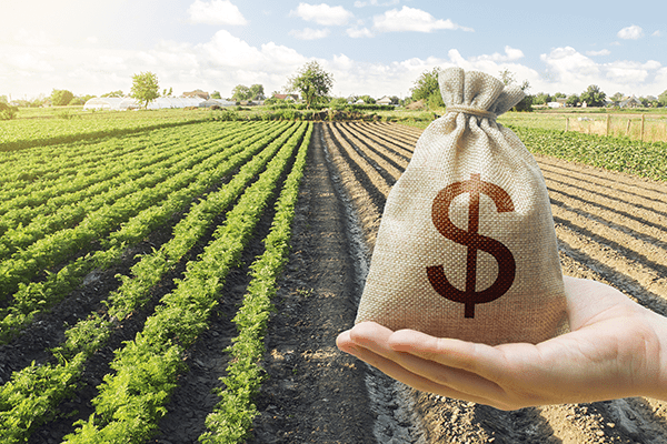 Justiça decide sobre disputa de terras no Mato Grosso; caso pode chegar a 50 anos nos tribunais e prejudicar o agronegócio