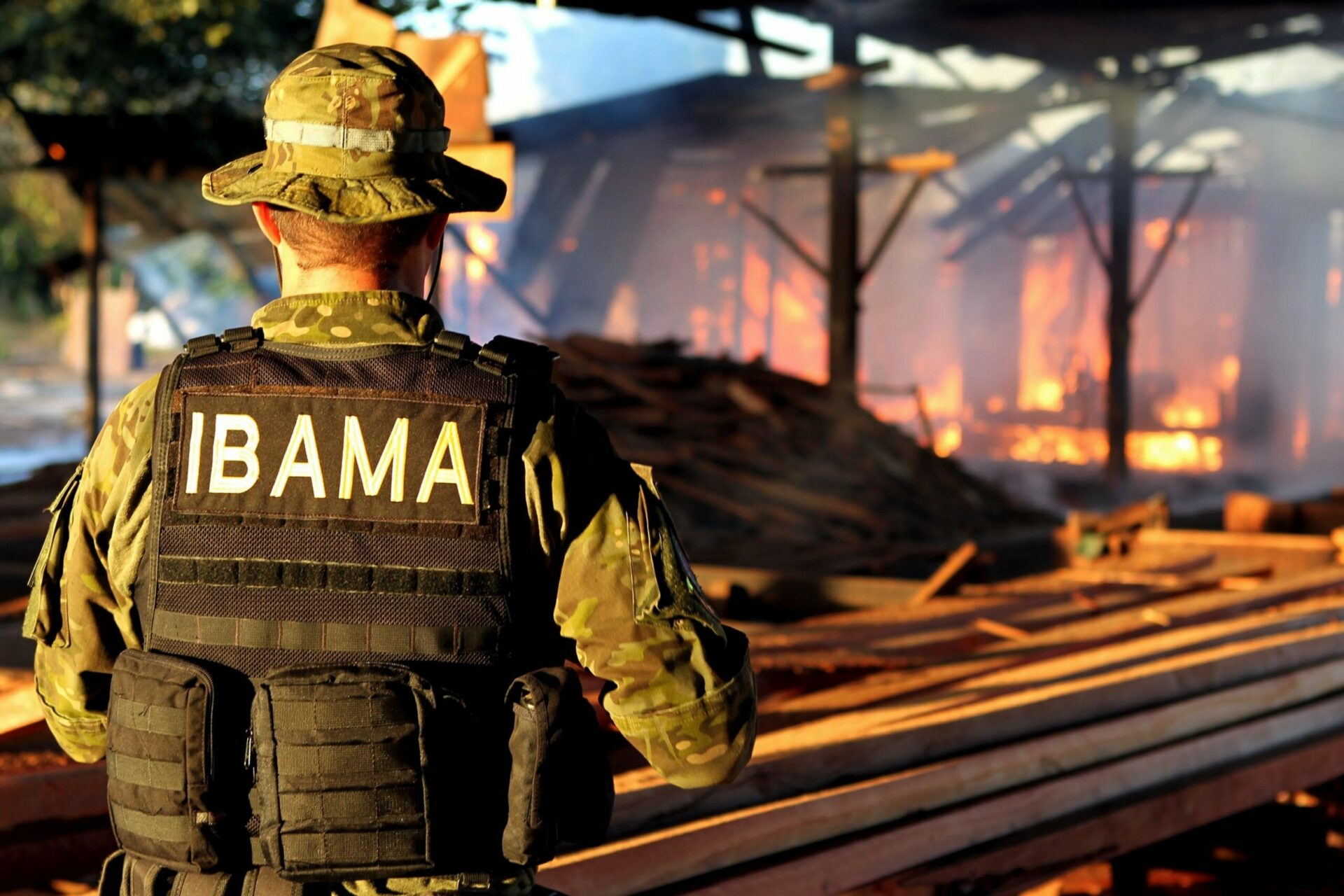 Justiça mantém demissão de servidor do Ibama por favorecer madeireiros