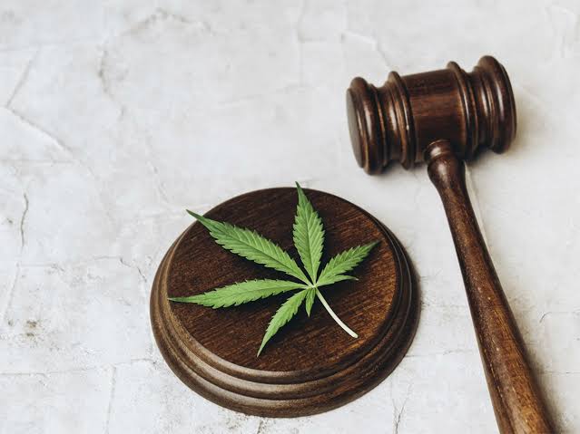 STF revisa recursos sobre liberação do porte de maconha no Brasil