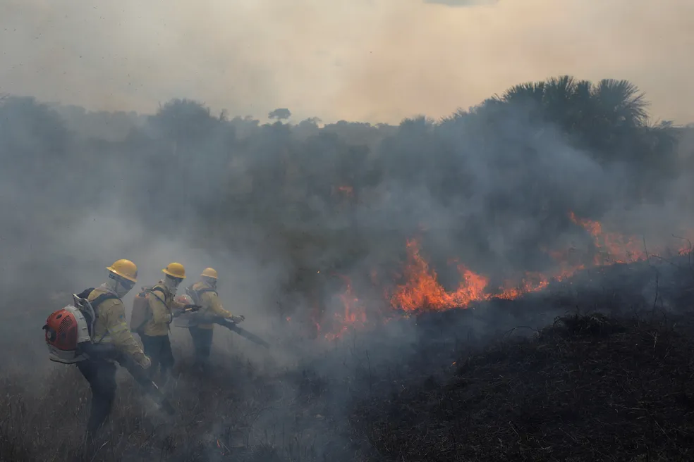 STF manda desapropriar terras devastadas por incêndios criminosos e desmatamento ilegal