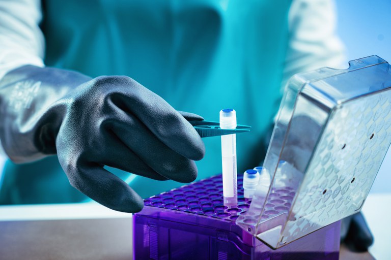 CNJ aprova recomendação para exclusão de perfis genéticos de inocentados em bancos de dados