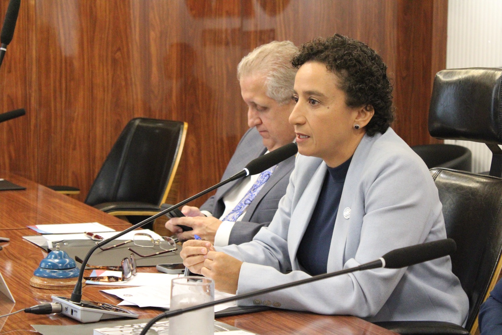 Por mais transparência, OAB-ES aprova mudanças na votação do Quinto Constitucional e institui paridade de gênero