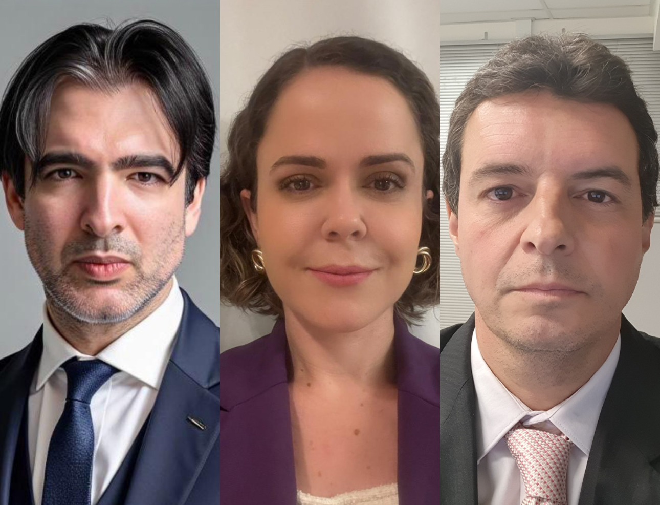 Honorários advocatícios: aos fatos. Um resgate à verdade