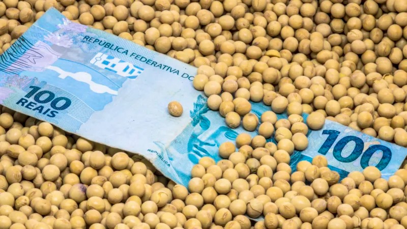 Justiça mantém exoneração de auditor fiscal investigado em operação contra fraude bilionária da soja