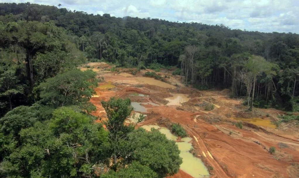 Justiça Federal valida embargo do Ibama em 182 propriedades no Pará por desmatamento ilegal