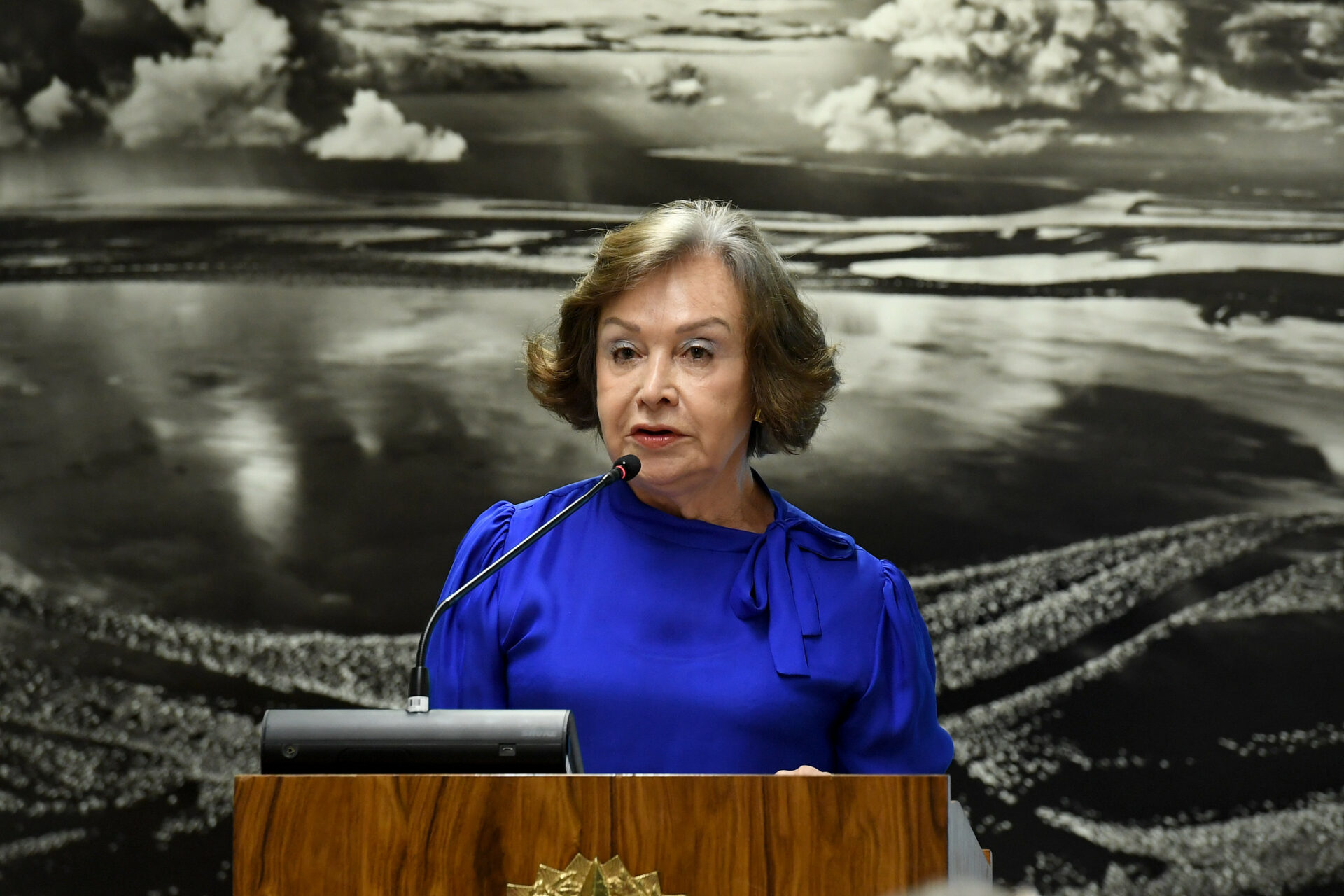 Reprodução de acusação criminal não comprovada em artigo científico não configura abuso nem dever de indenizar, decide STJ