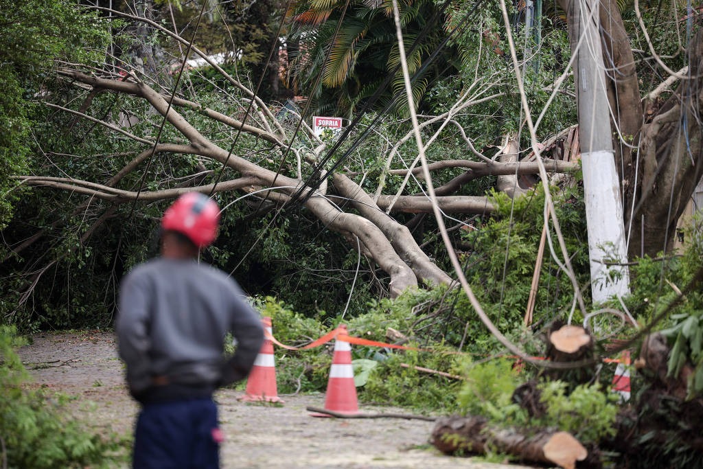 MPF pede suspensão imediata do processo de renovação antecipada do contrato entre Enel e SP