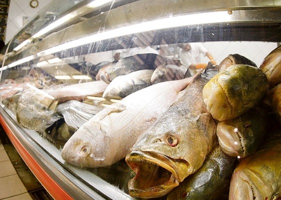 Apesar de vigilância ininterrupta, juíza rejeita “crime impossível” e condena mulher por furtar bacalhau em hipermercado