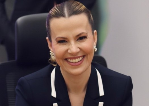 Revisão Criminal nas Cortes Superiores: aspectos jurisprudenciais