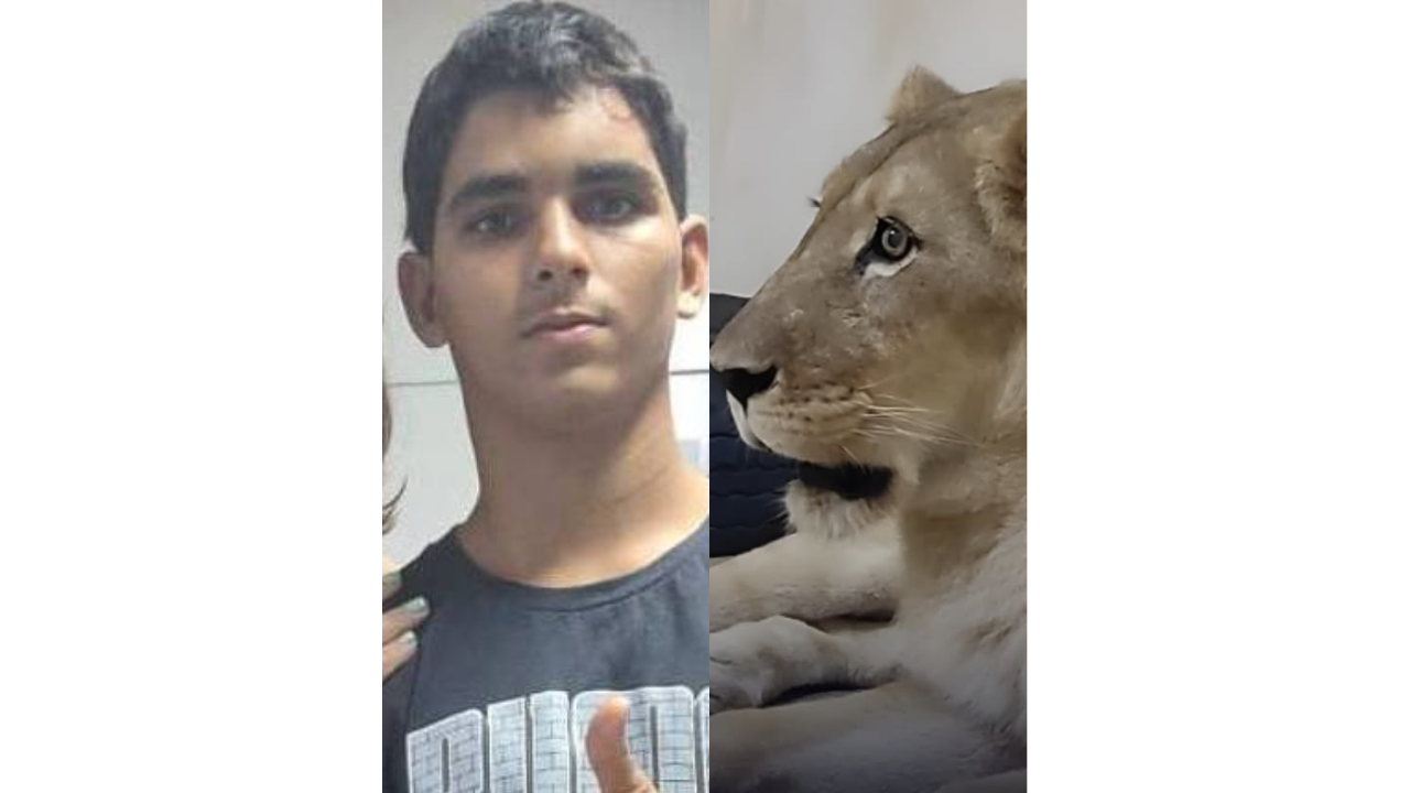TJ-PB vê culpa exclusiva da vítima em caso de jovem morto por leoa e arquiva inquérito