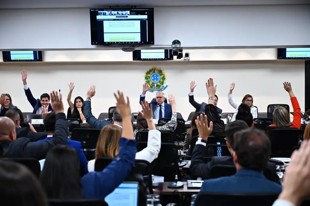 Conselho Pleno da OAB/DF aprova Resolução que reafirma sua independência nas Eleições Gerais de 2026