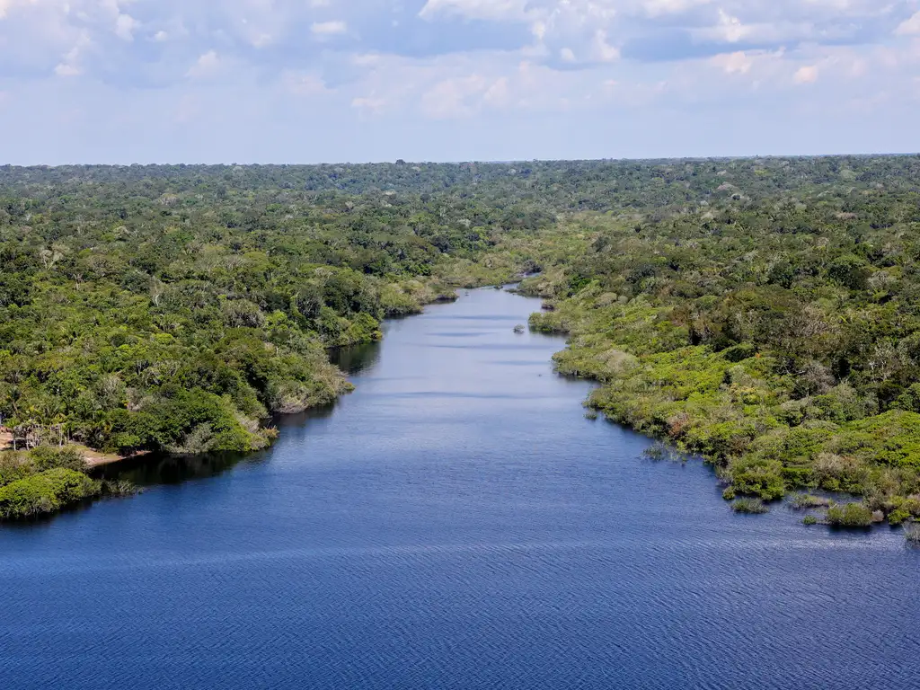 STF determina novas medidas para cumprimento de decisão sobre proteção ambiental